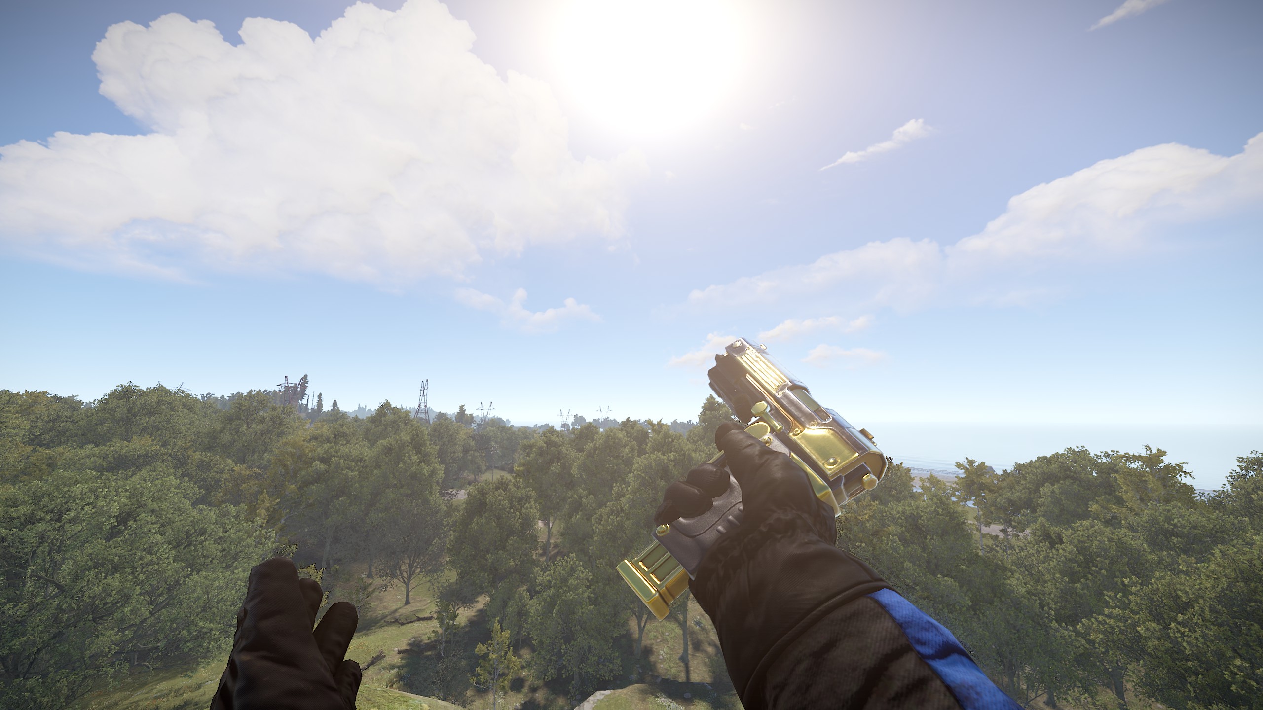 Black Gold SAP thumbnail 4