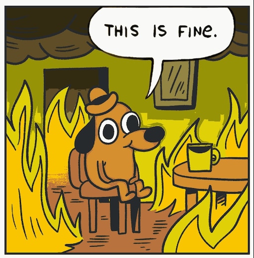 This is fine steam фото 6
