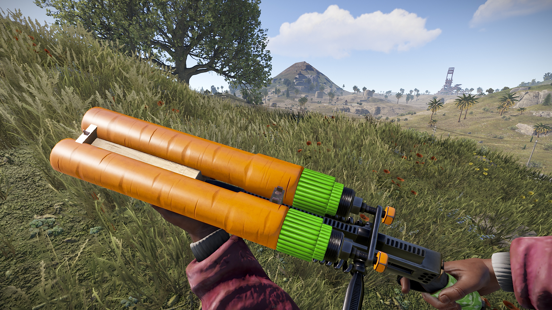 Carrot DBS thumbnail 3