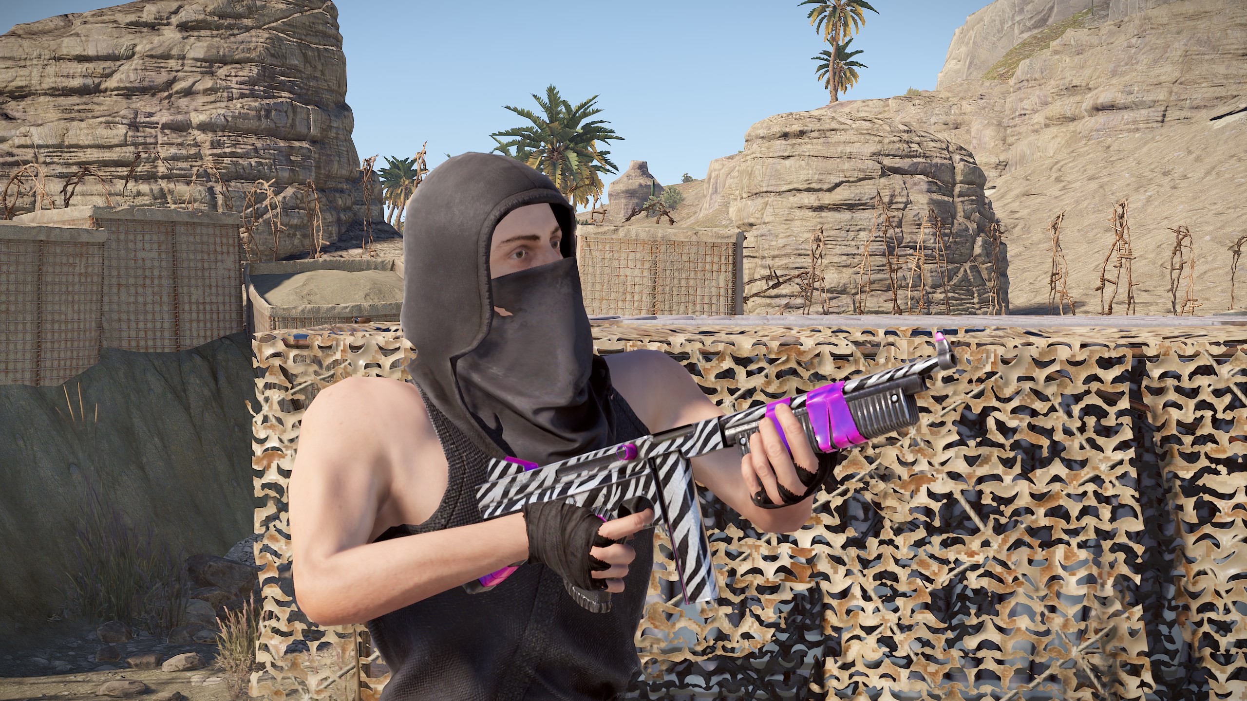 Zebra Thompson thumbnail 6