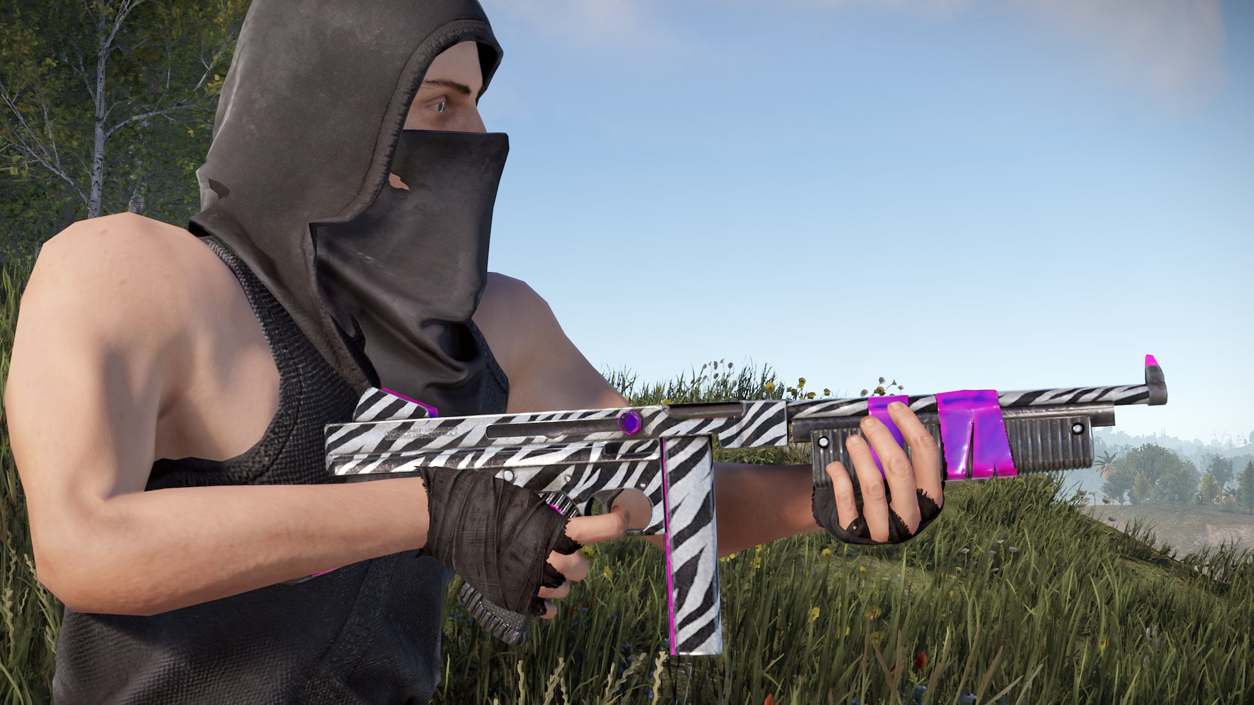Zebra Thompson thumbnail 11