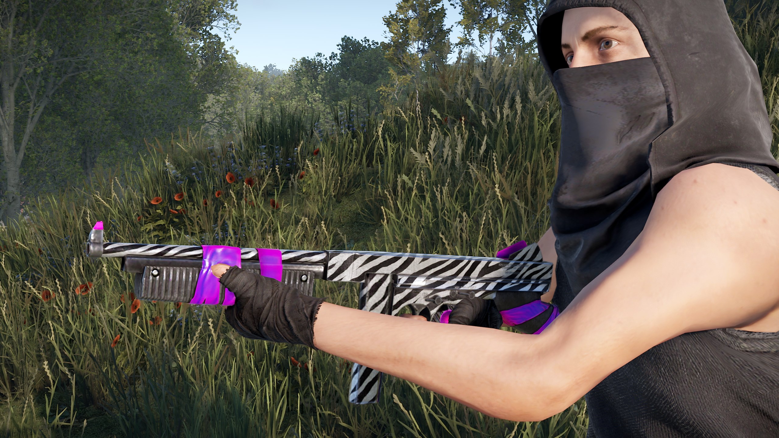 Zebra Thompson thumbnail 8
