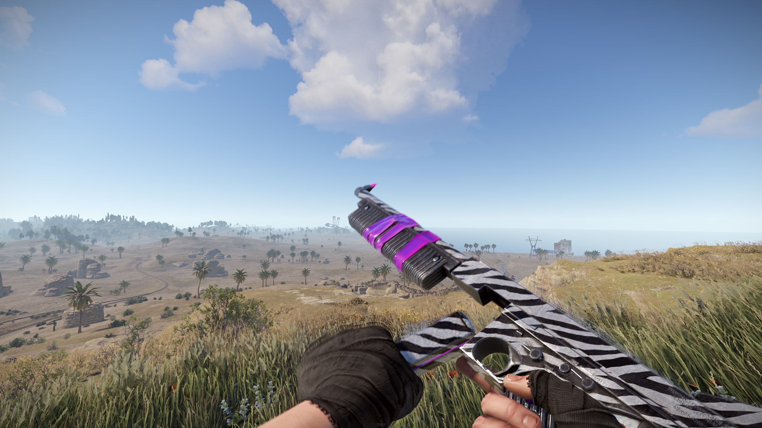 Zebra Thompson thumbnail 10