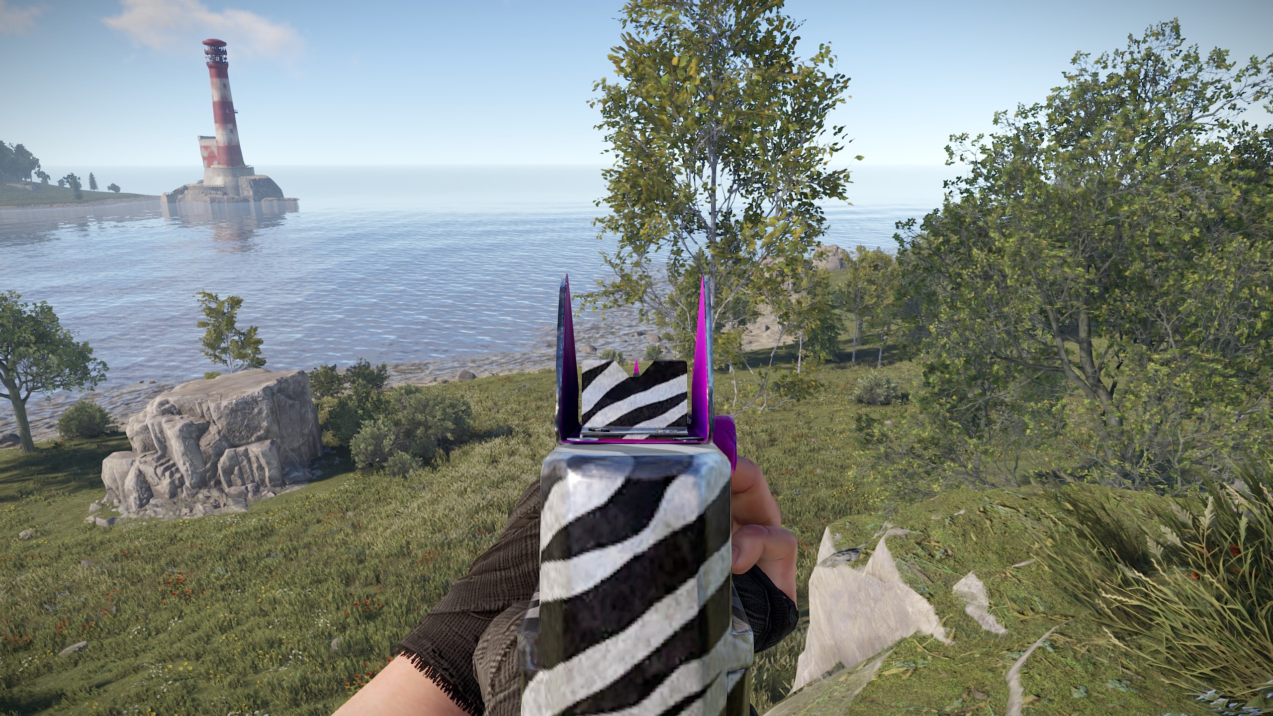 Zebra Thompson thumbnail 9