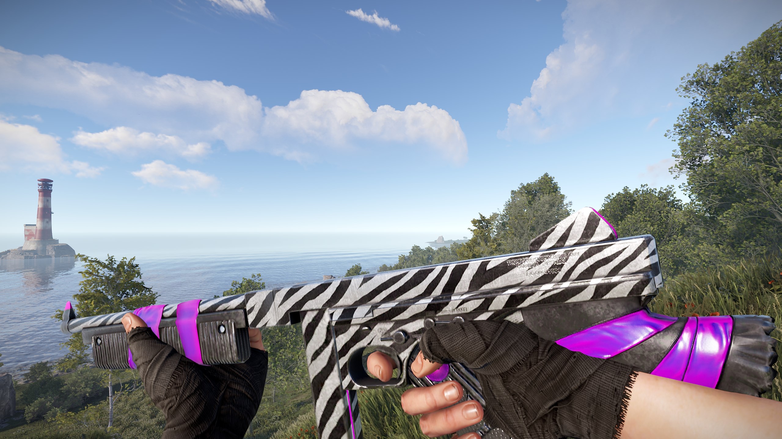 Zebra Thompson thumbnail 7