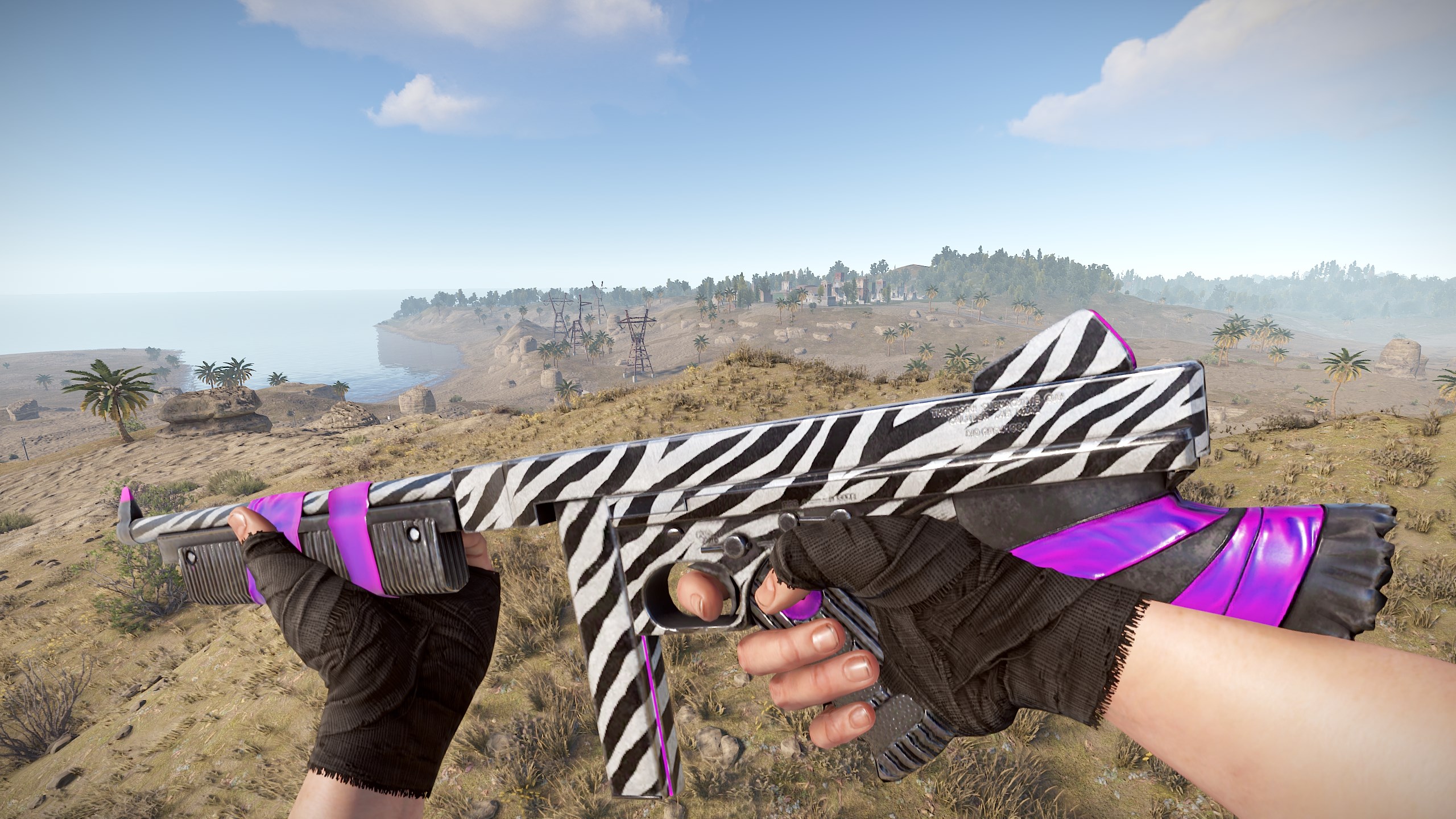 Zebra Thompson thumbnail 2