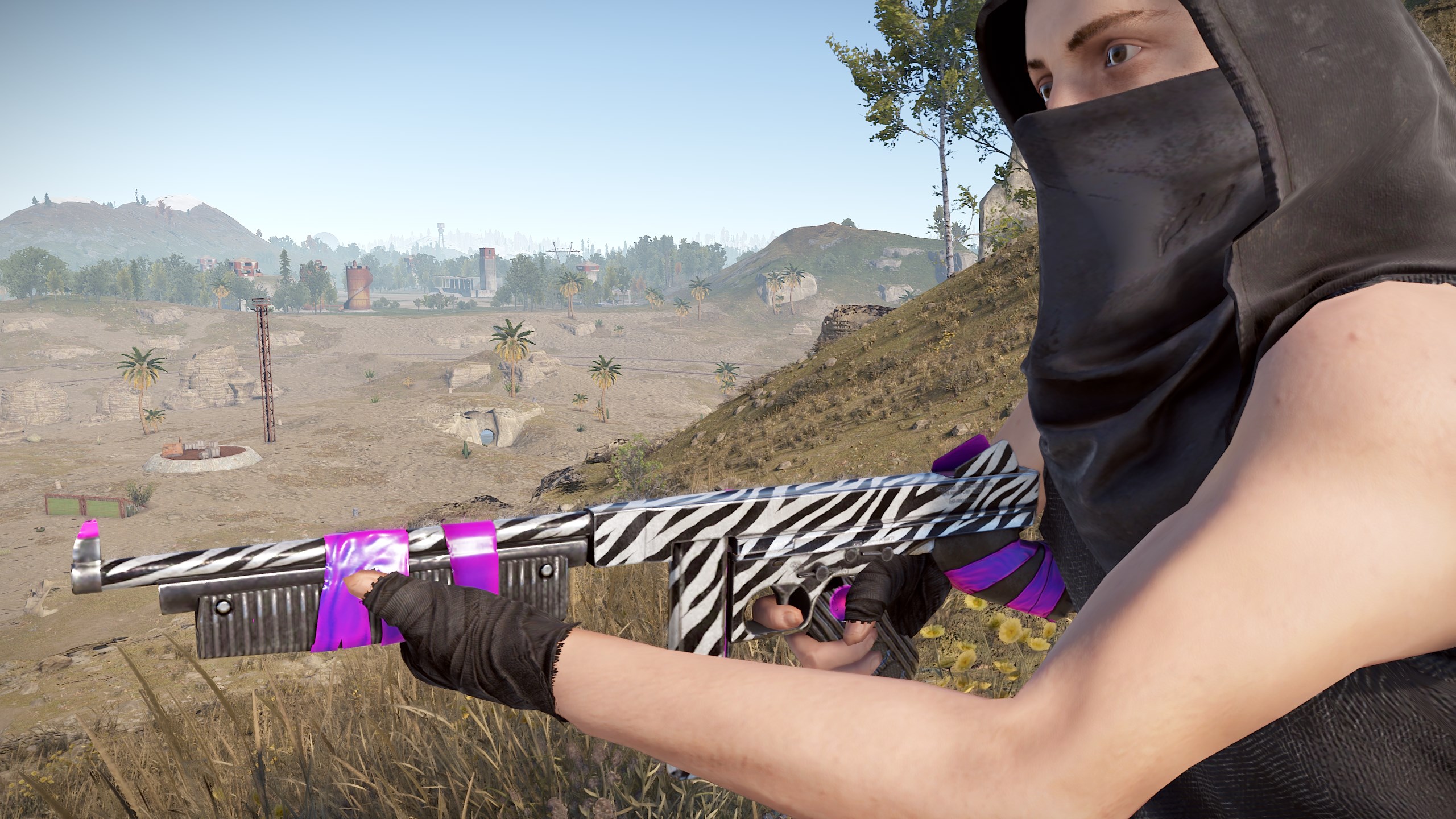 Zebra Thompson thumbnail 5