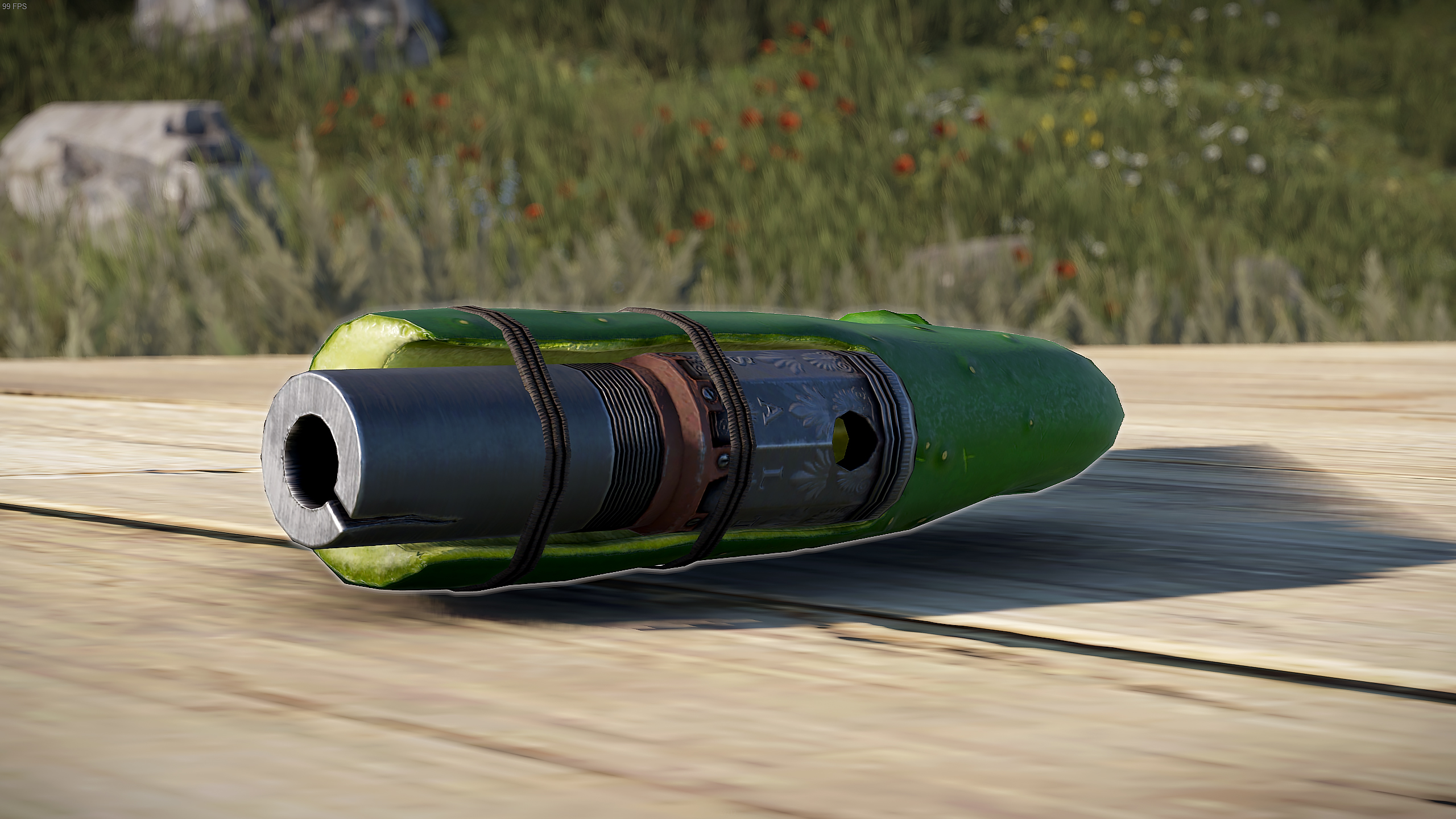 Cucumber Eoka thumbnail 5