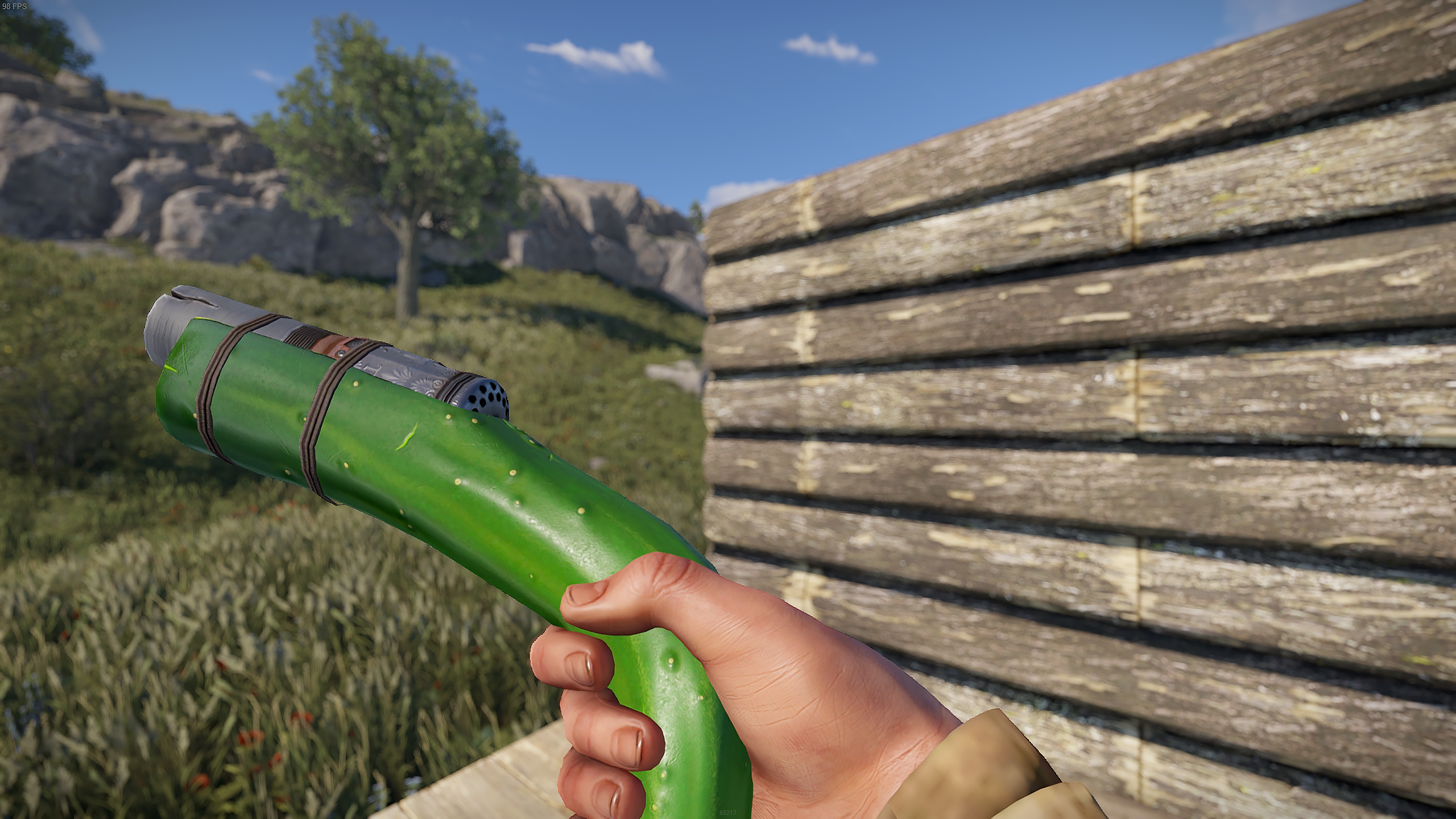 Cucumber Eoka thumbnail 8