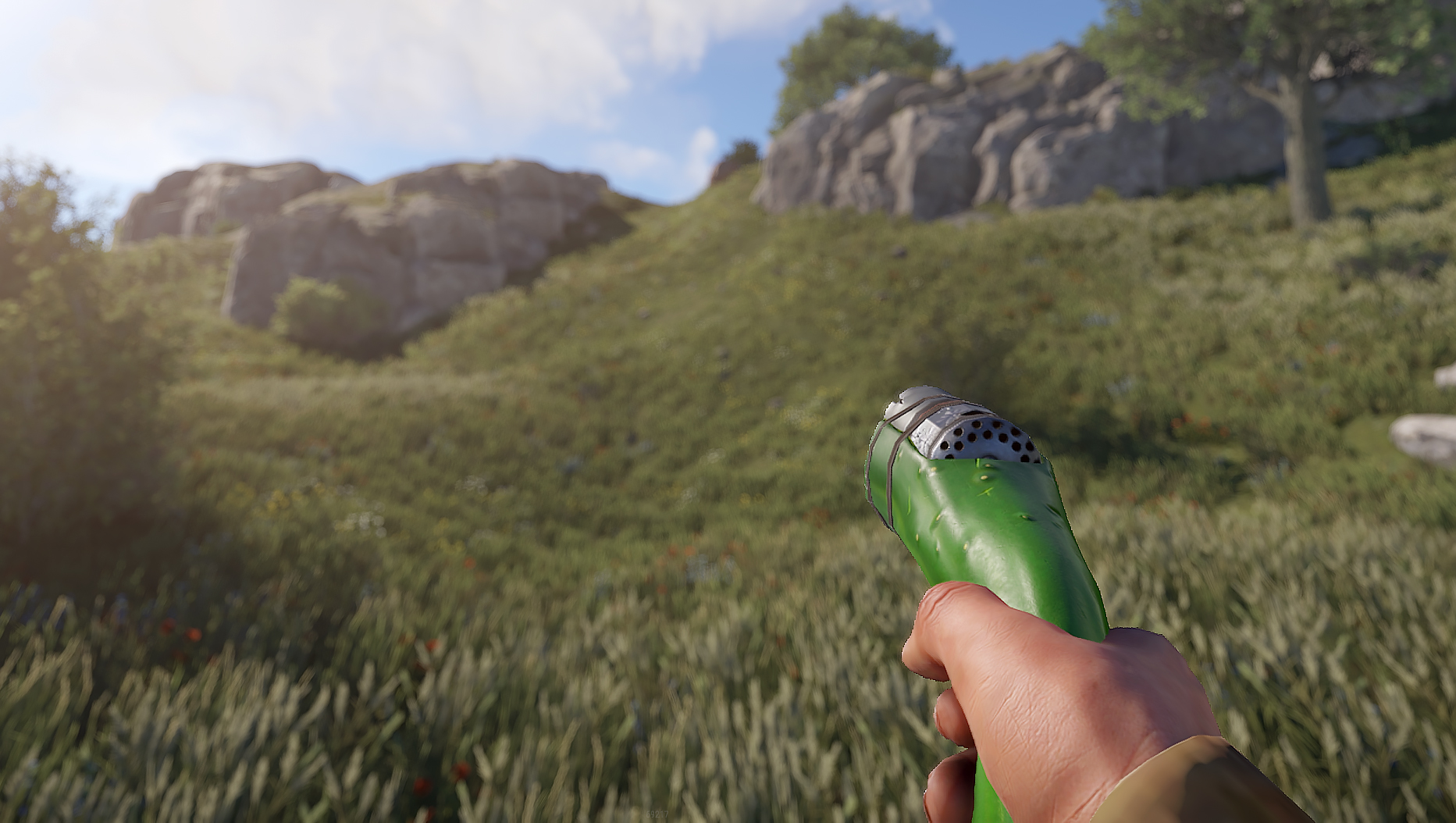 Cucumber Eoka thumbnail 10