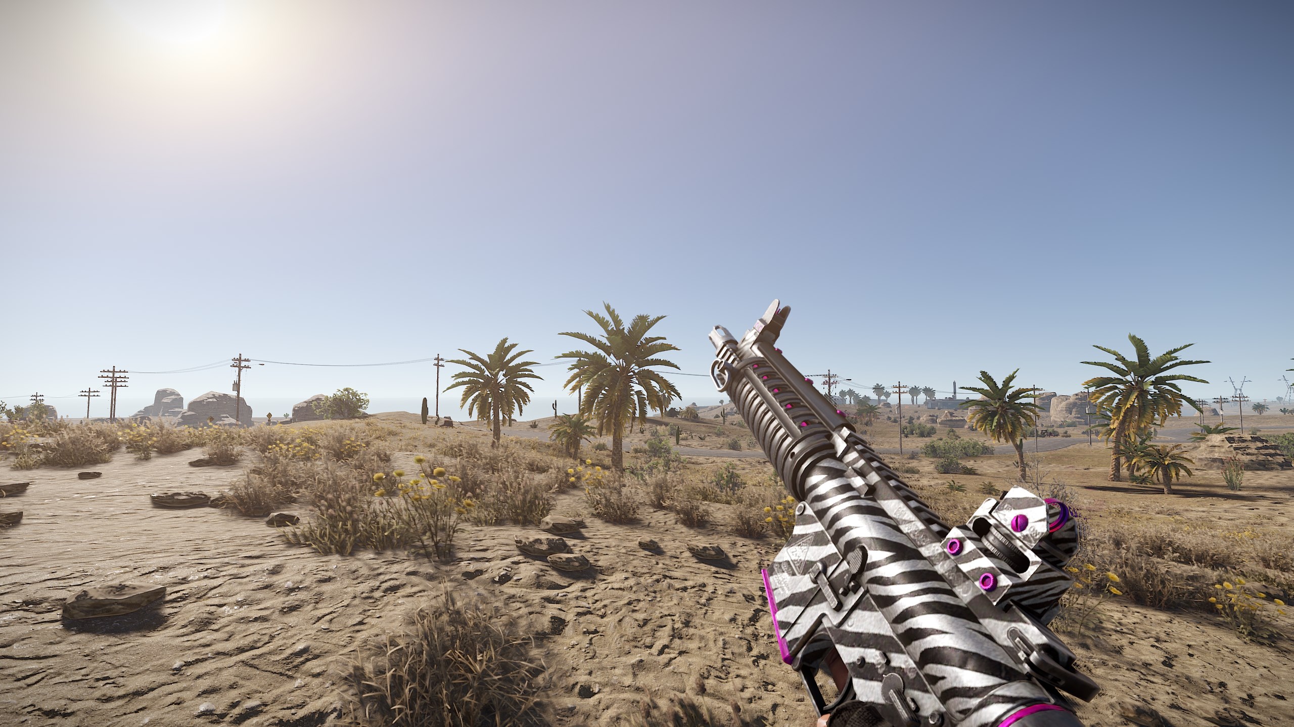 Zebra LR thumbnail 4