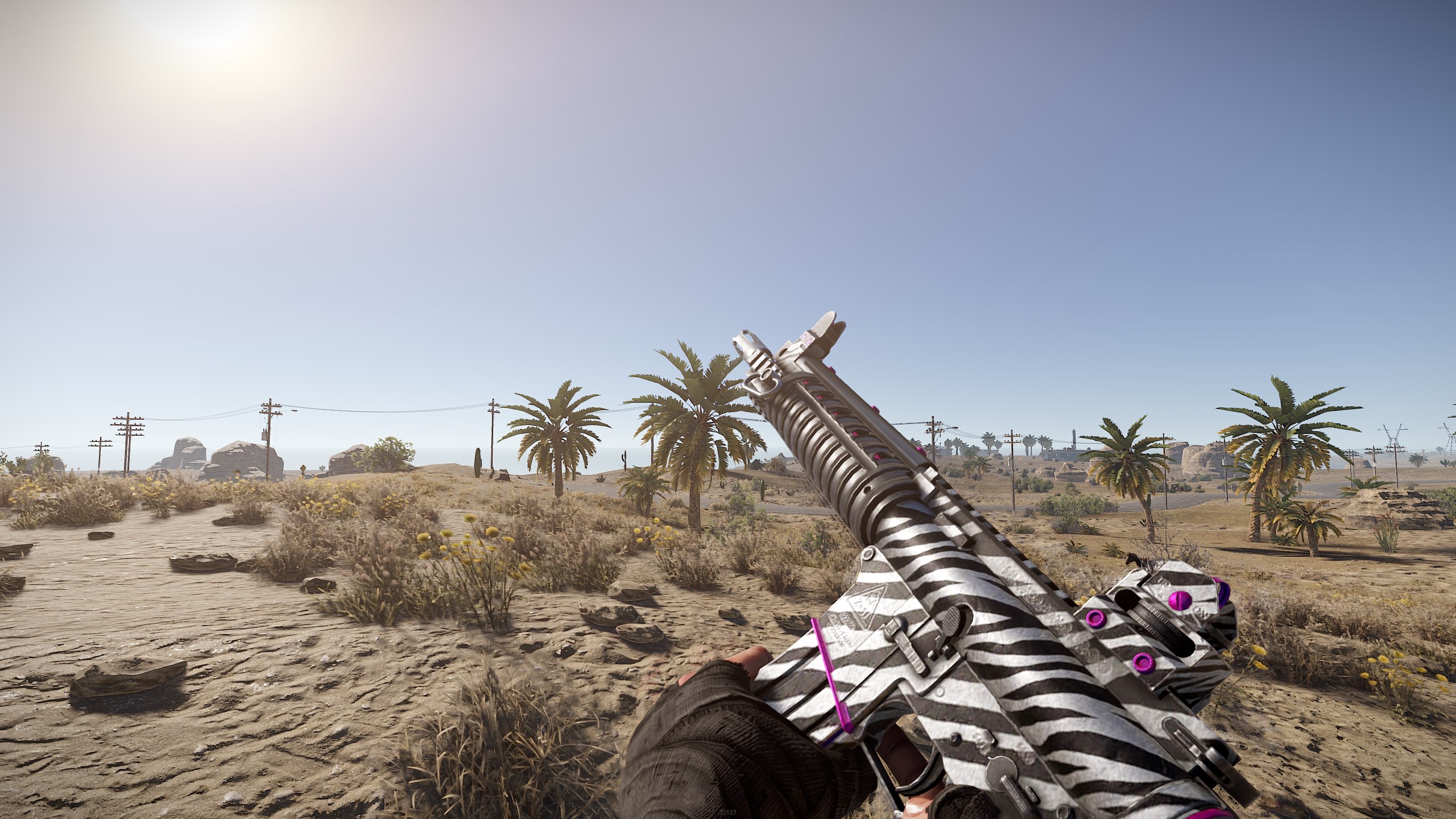Zebra LR thumbnail 5