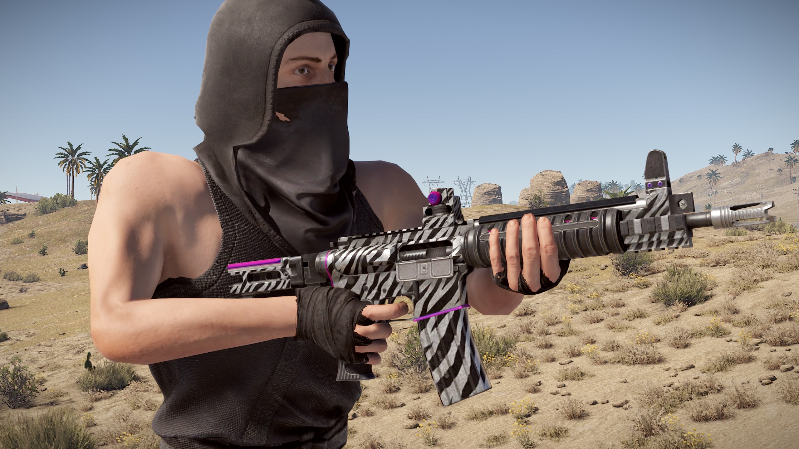 Zebra LR thumbnail 7