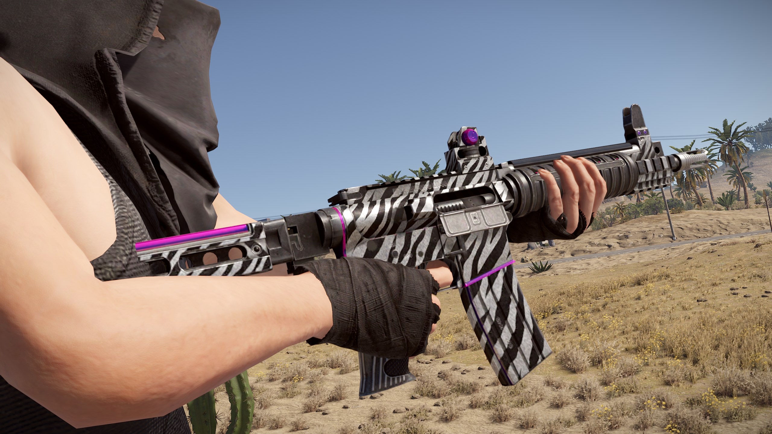 Zebra LR thumbnail 9