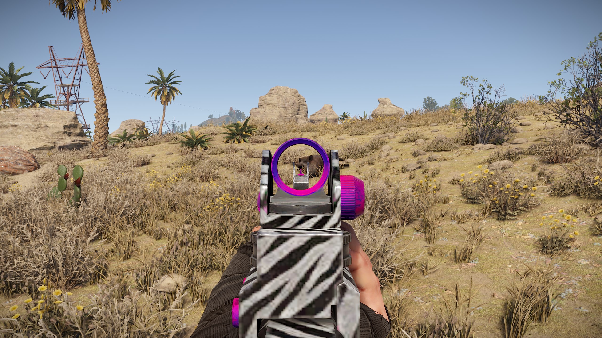 Zebra LR thumbnail 6