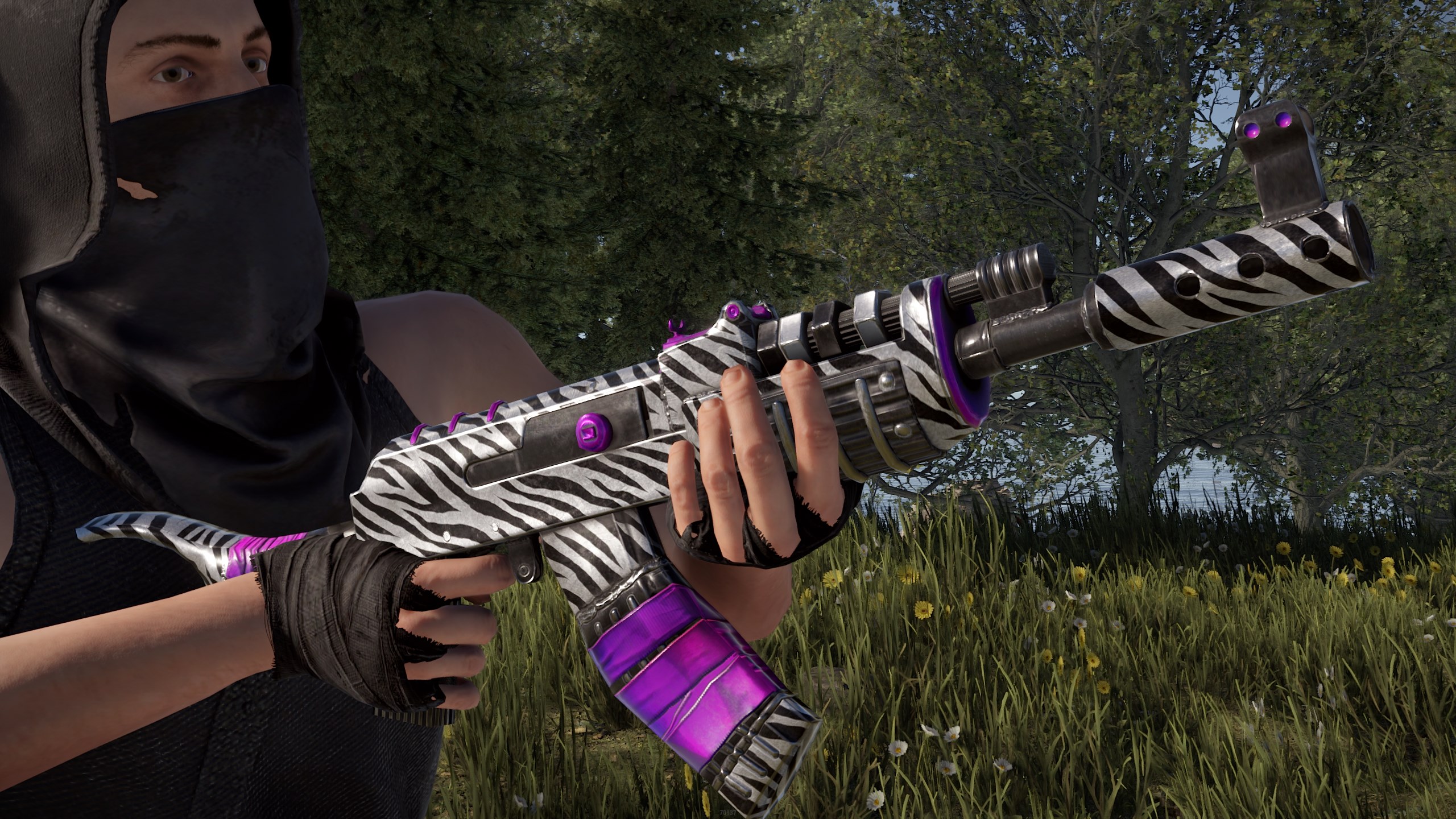 Zebra AR thumbnail 6