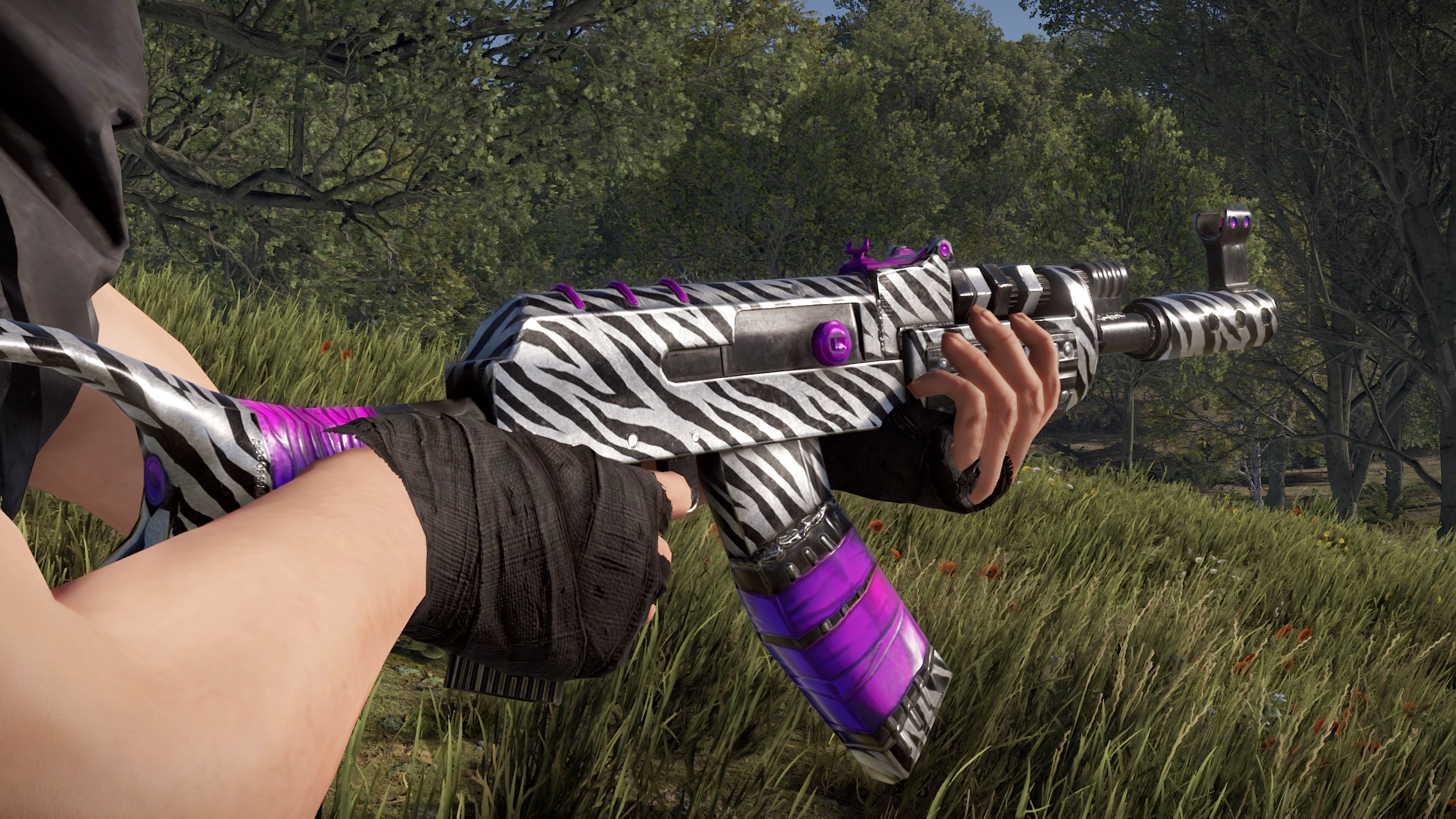 Zebra AR thumbnail 4