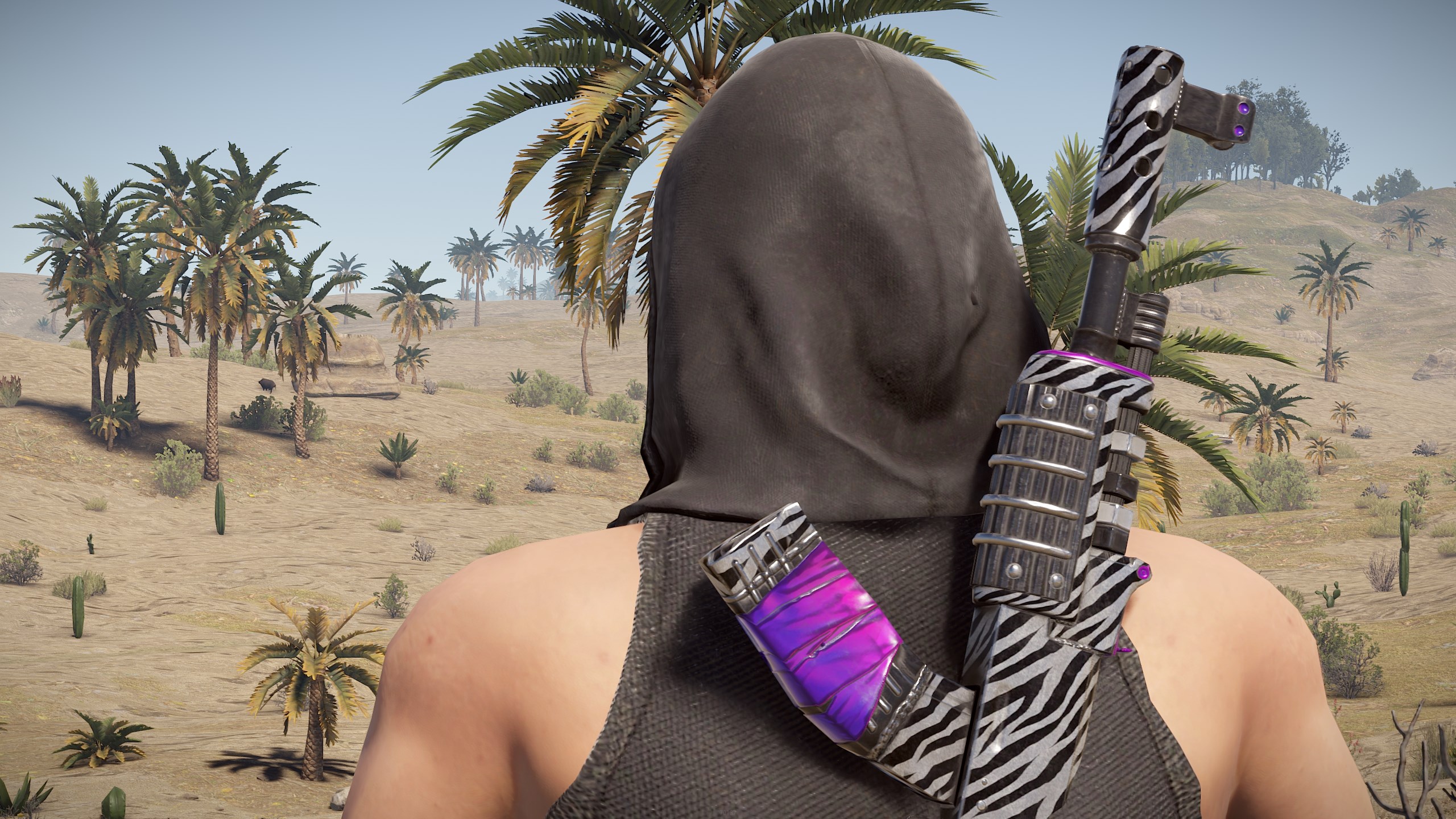 Zebra AR thumbnail 11