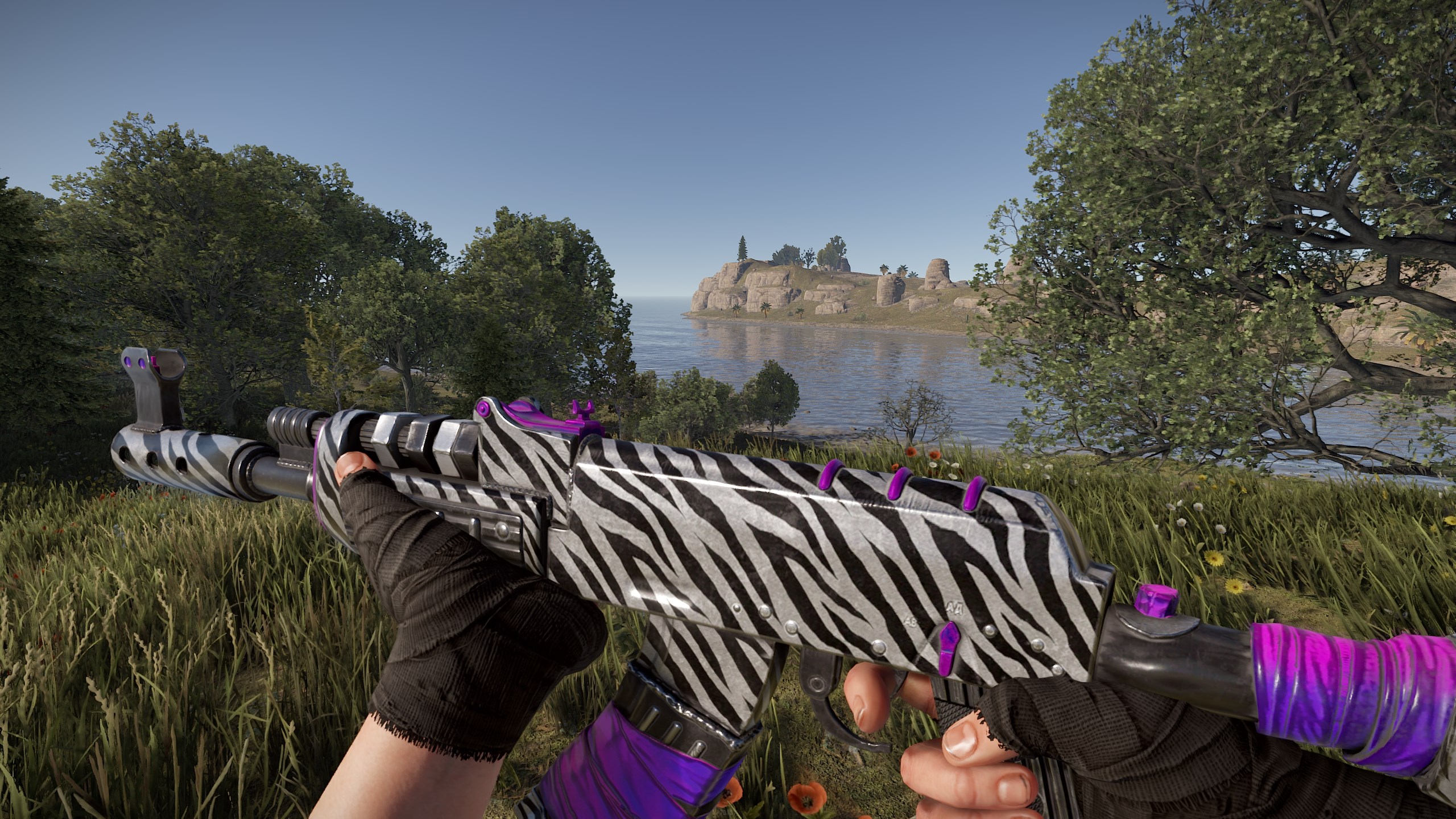 Zebra AR thumbnail 2