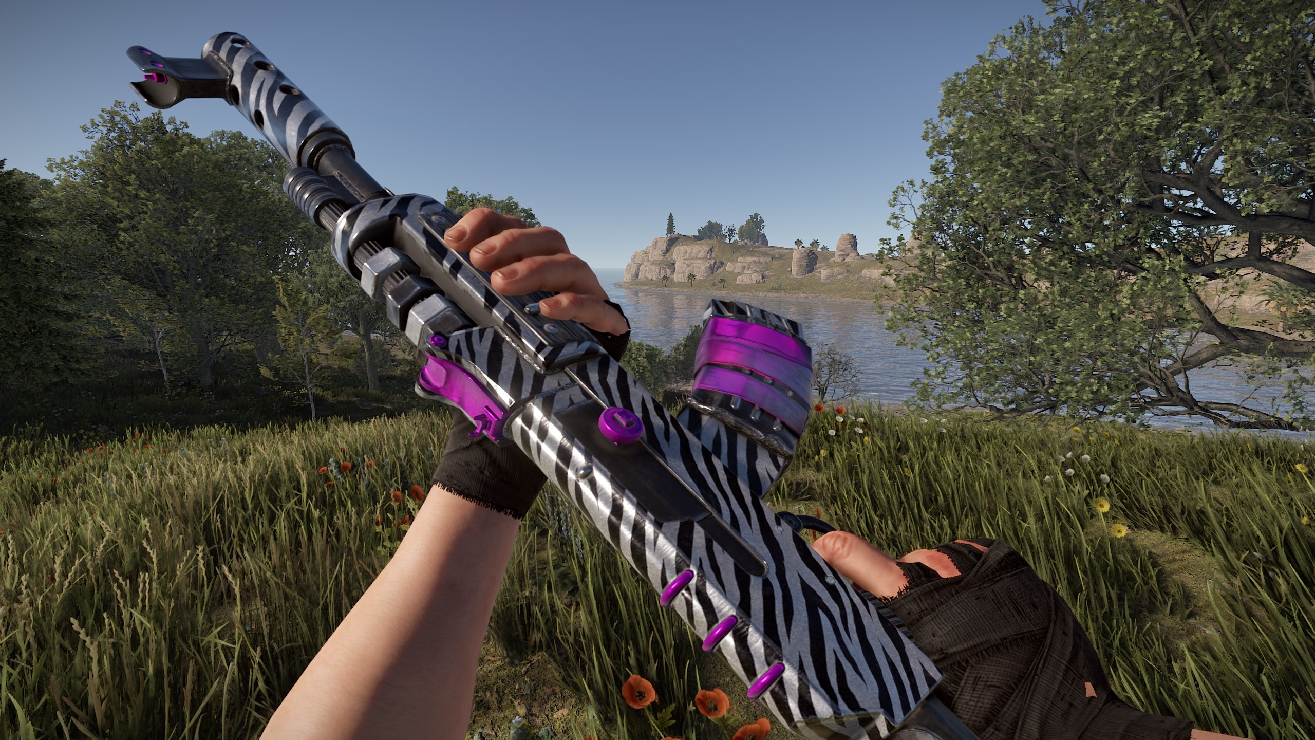 Zebra AR thumbnail 3