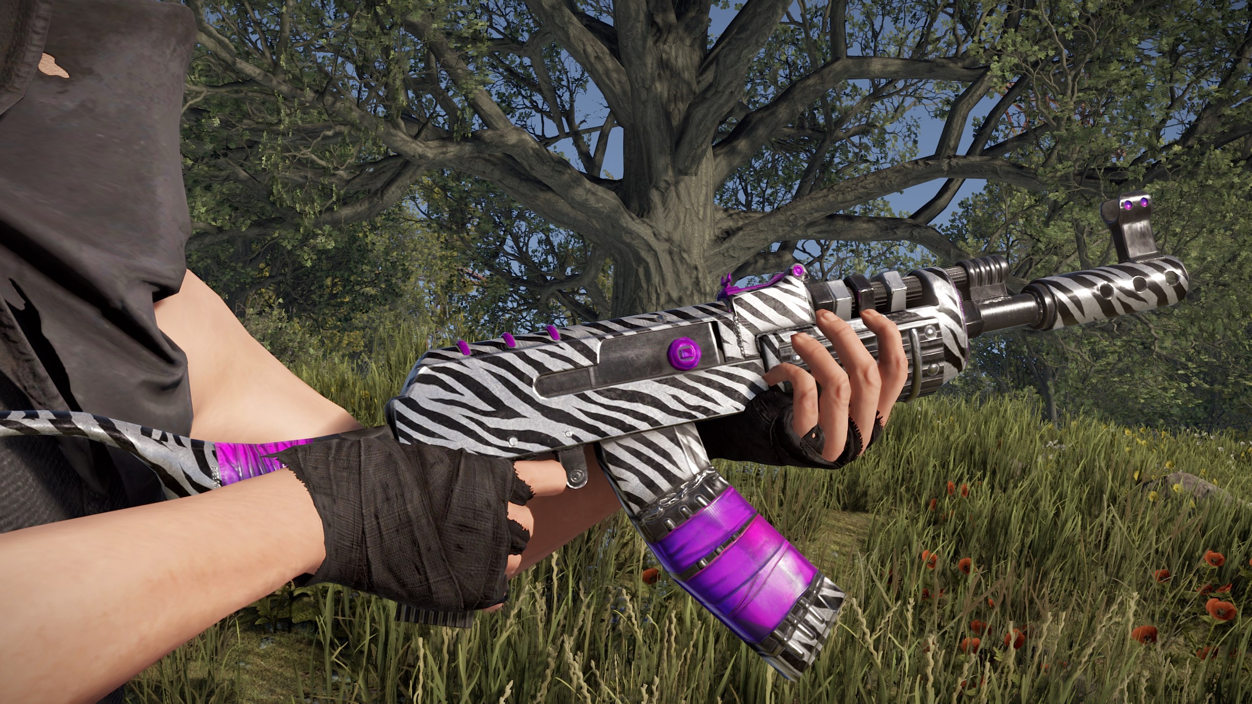 Zebra AR thumbnail 5