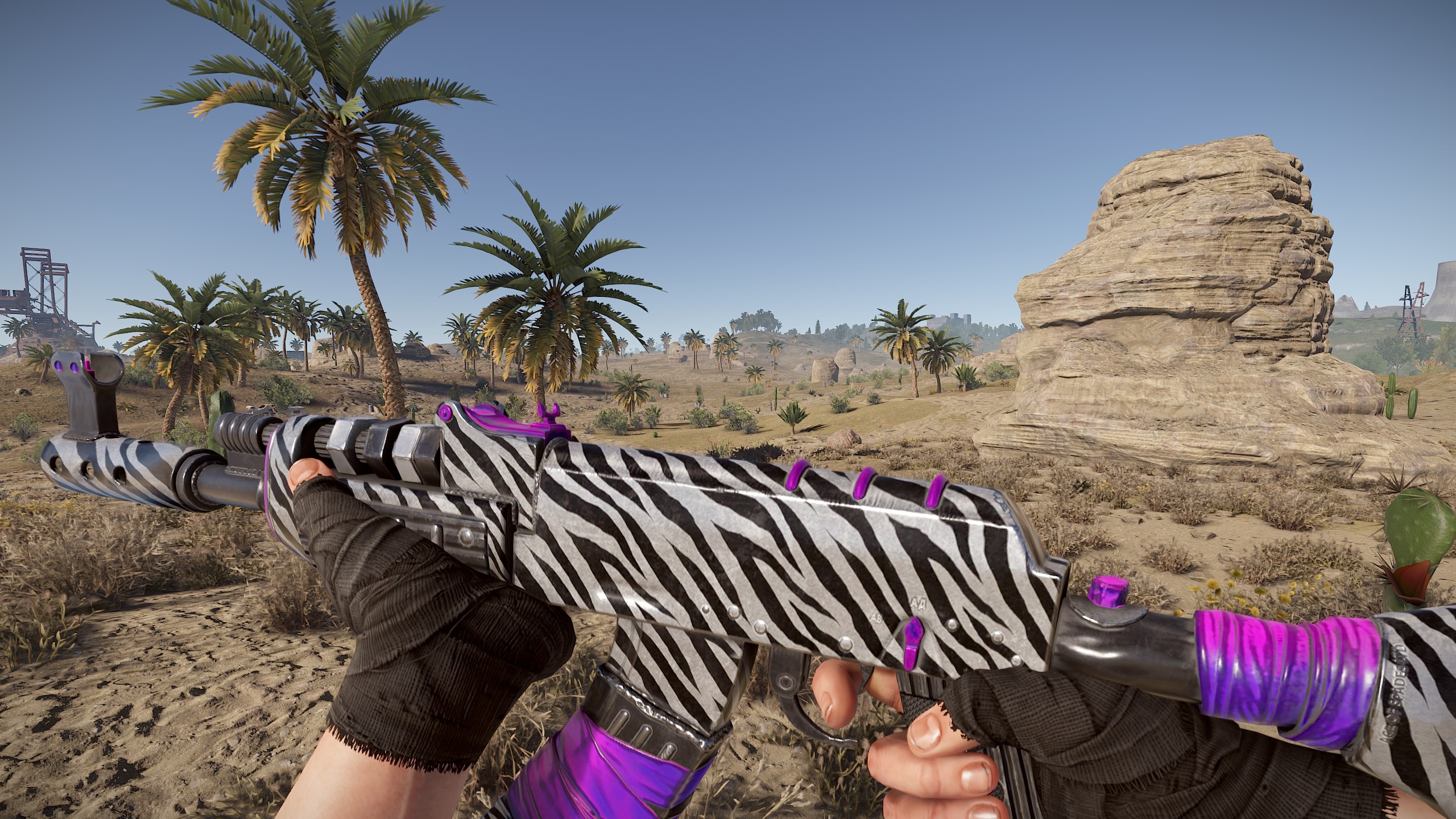 Zebra AR thumbnail 7