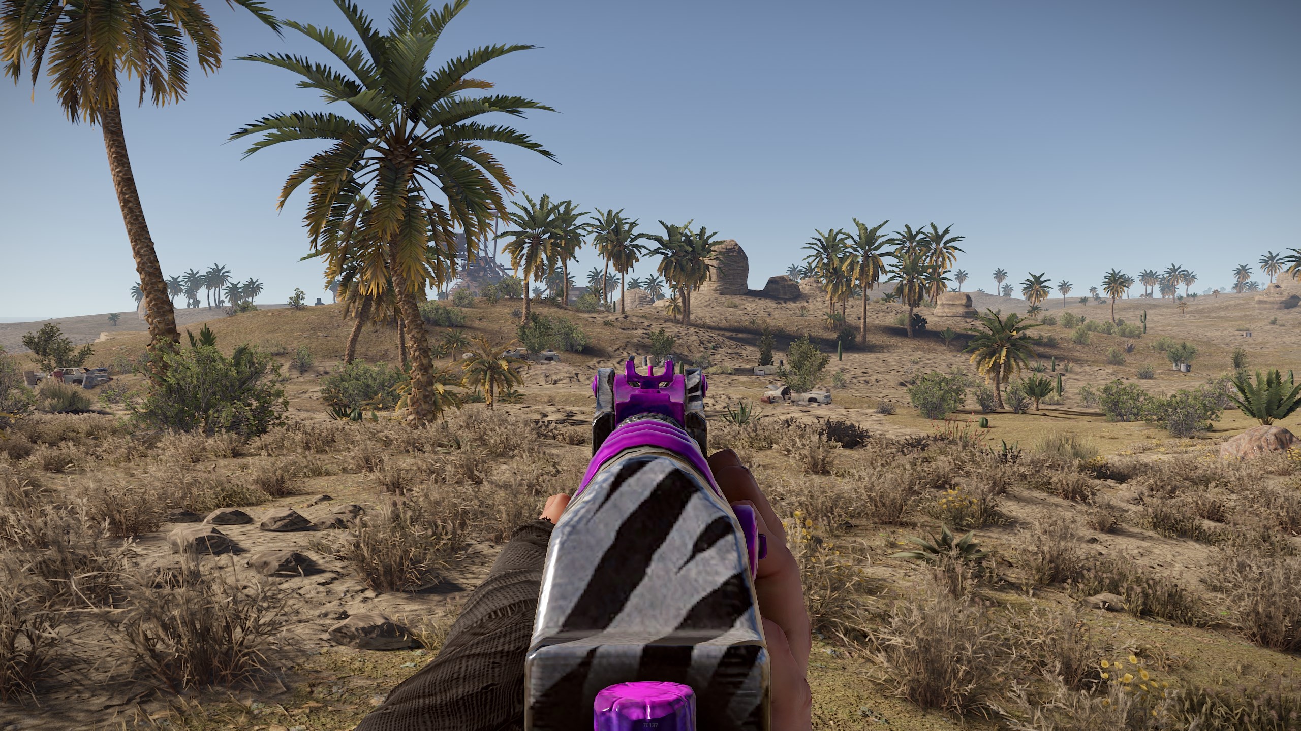 Zebra AR thumbnail 9