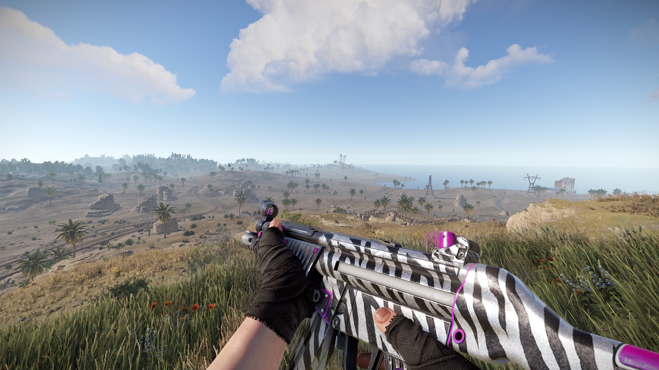 Zebra MP5 thumbnail 4