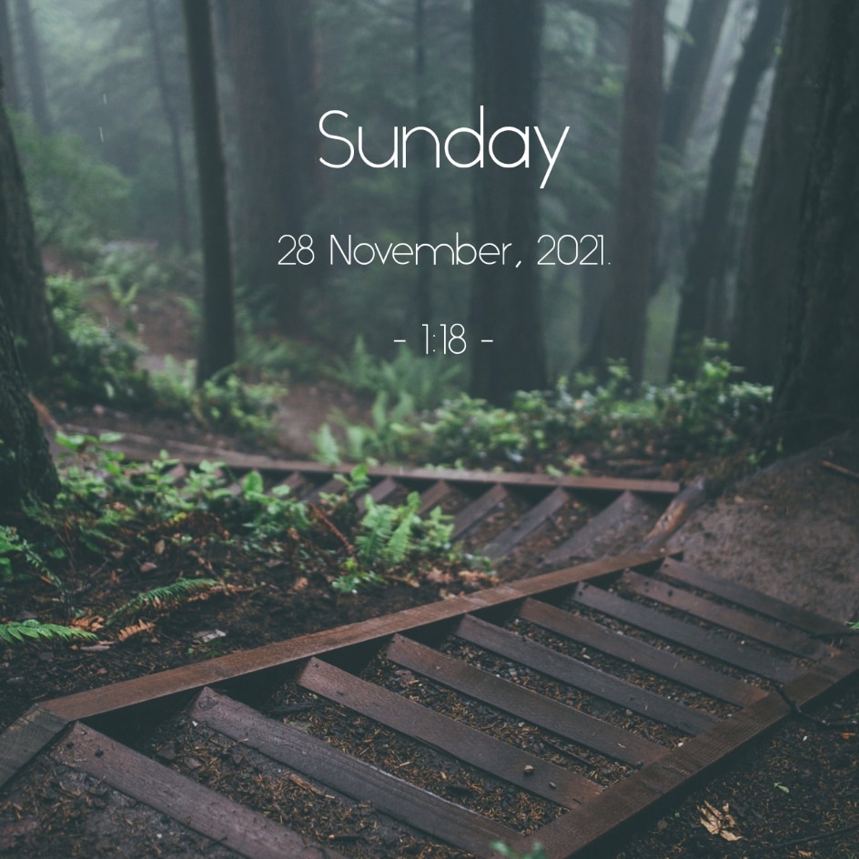 Relaxing Forest - Date/Clock