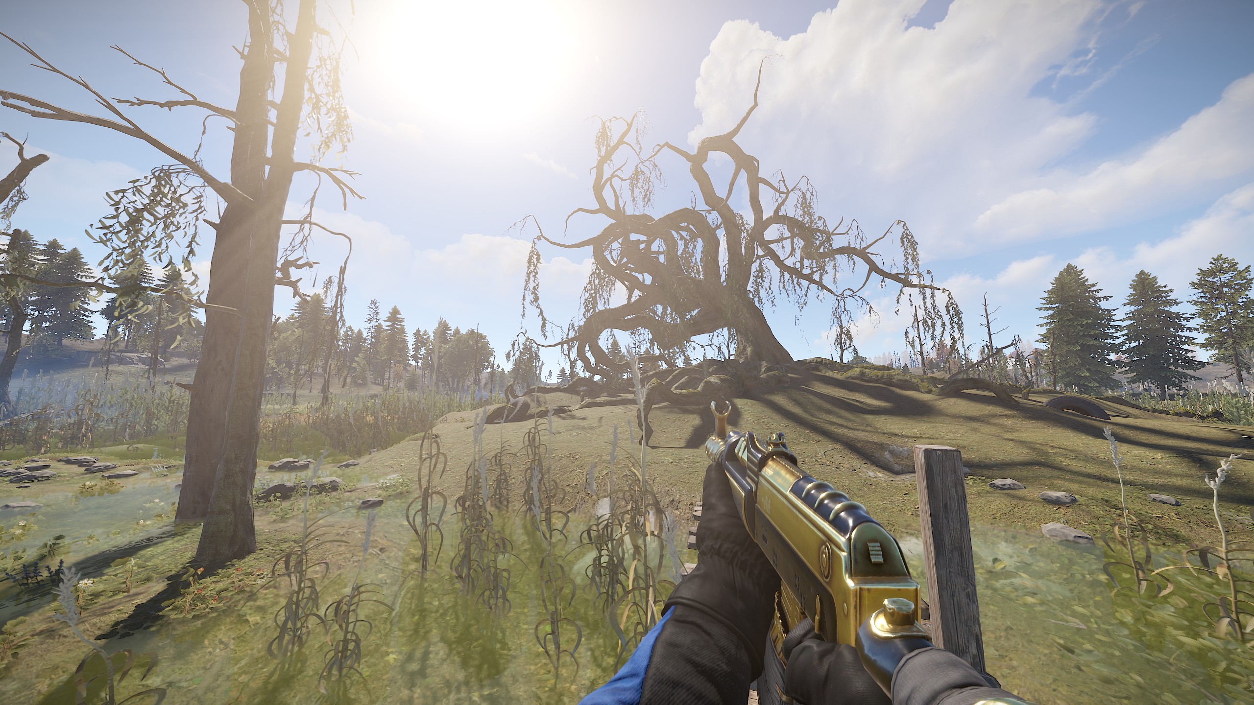 Black Gold AR thumbnail 5