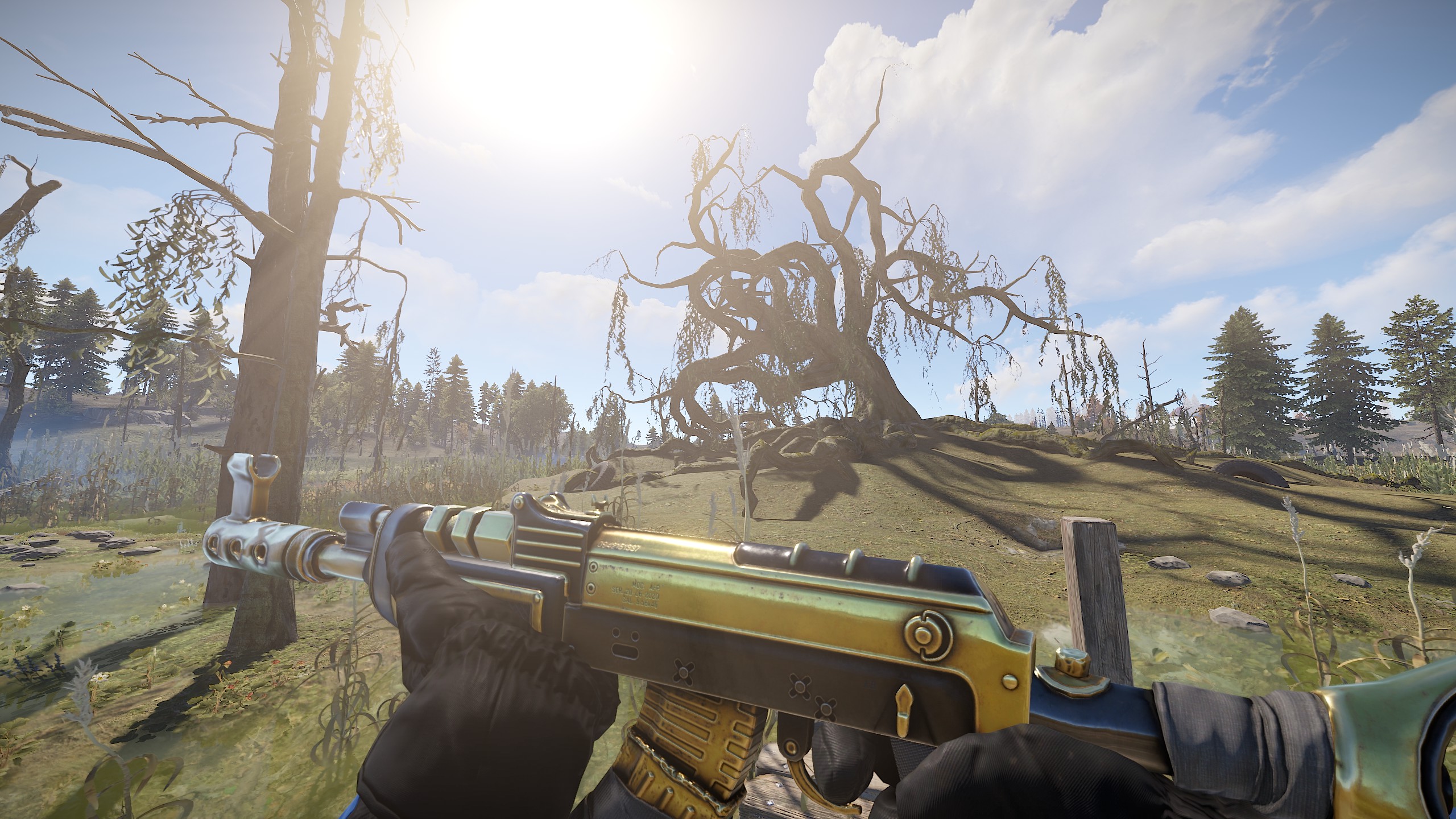 Black Gold AR thumbnail 6
