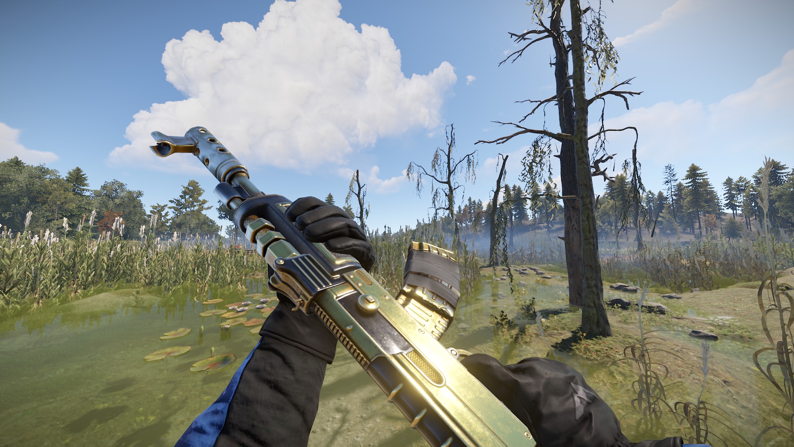 Black Gold AR thumbnail 7