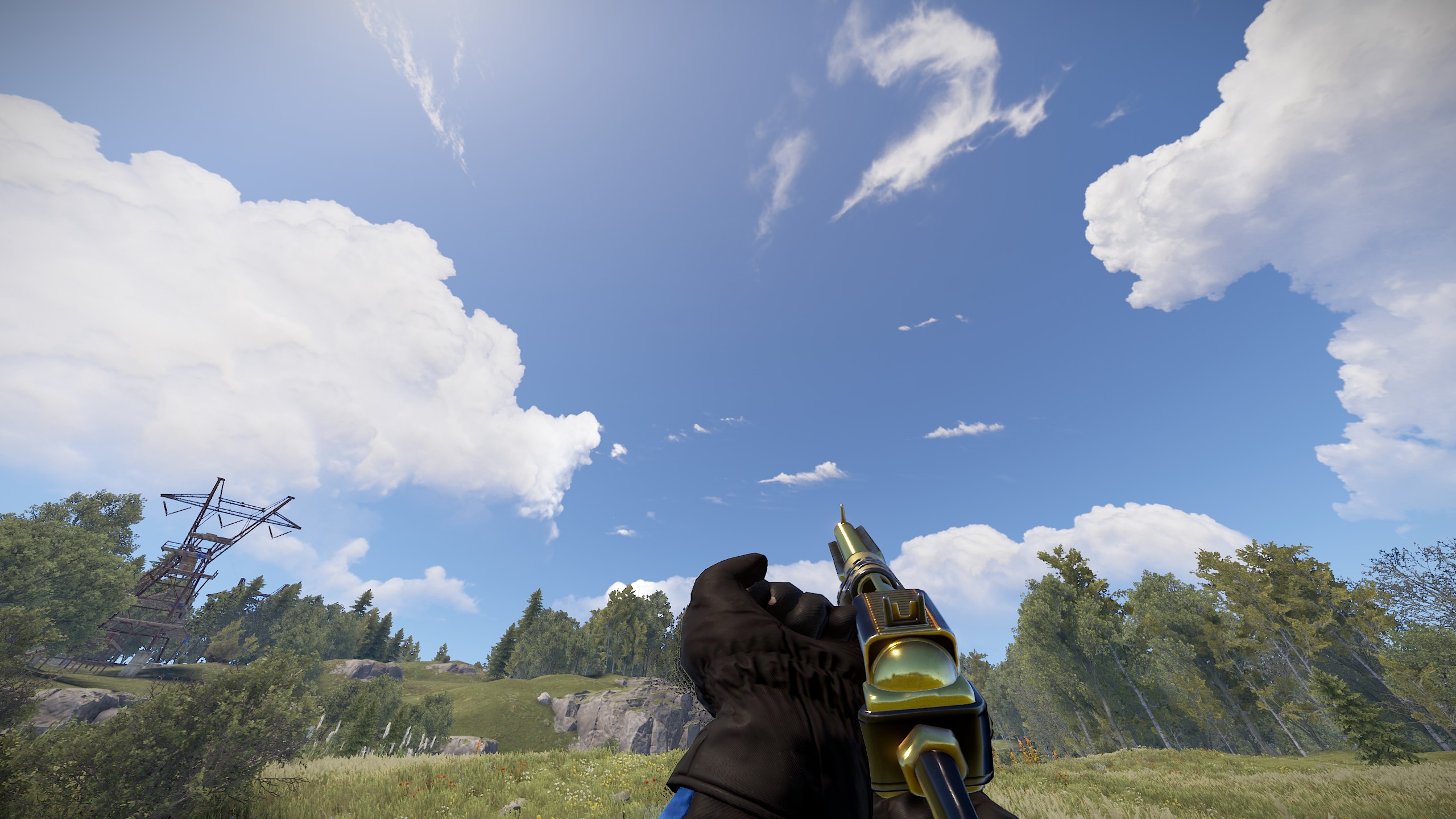 Black Gold SAR thumbnail 6