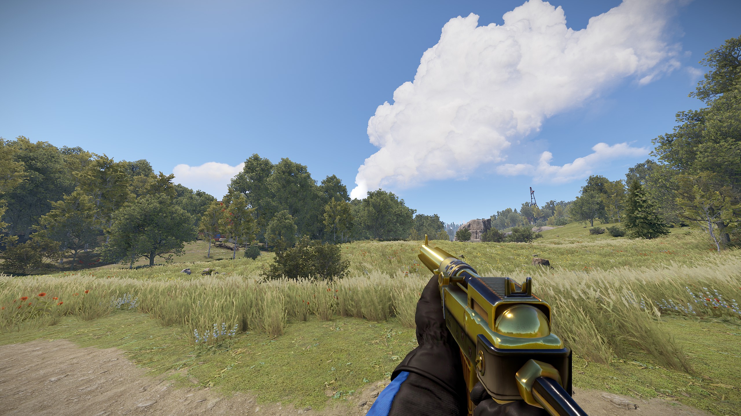 Black Gold SAR thumbnail 8