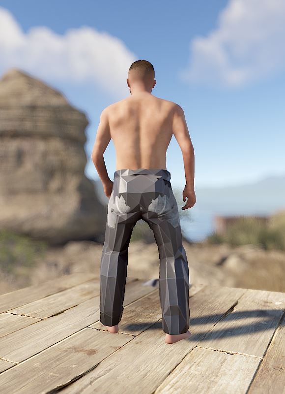 Low Poly Pants thumbnail 3