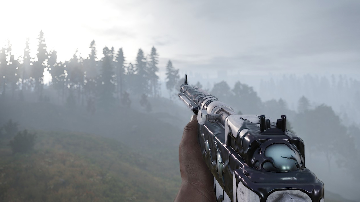 Quarantine SAR thumbnail 4