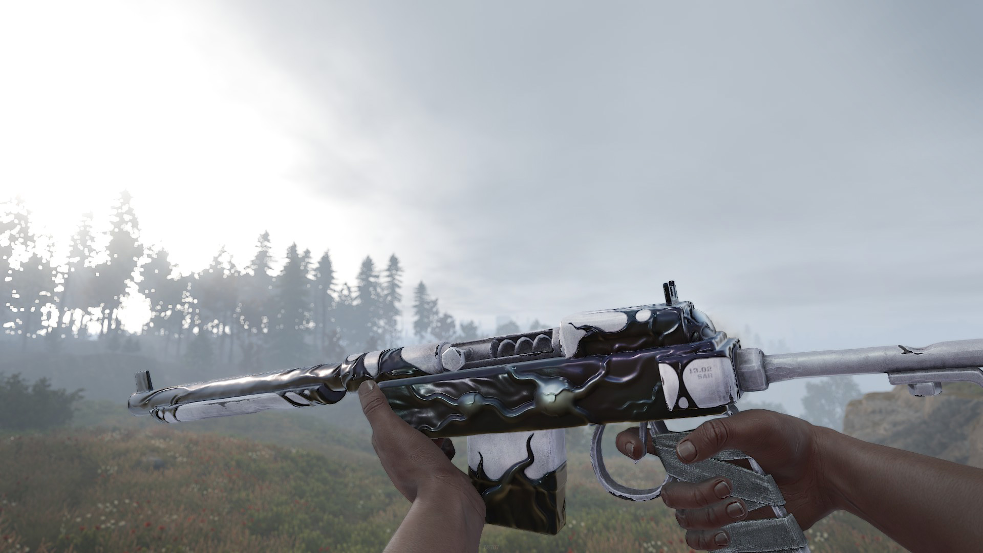 Quarantine SAR thumbnail 5
