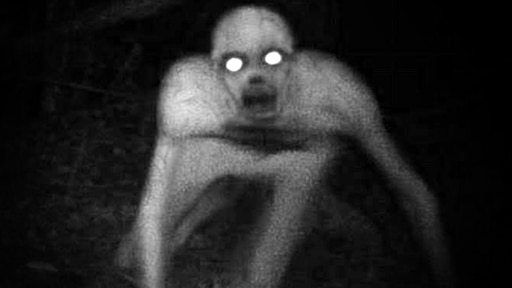 Ырка фото на поле в реальной жизни Ырка фото на поле в реальной жизни