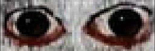 Проект глаза фото Проект глаза фото