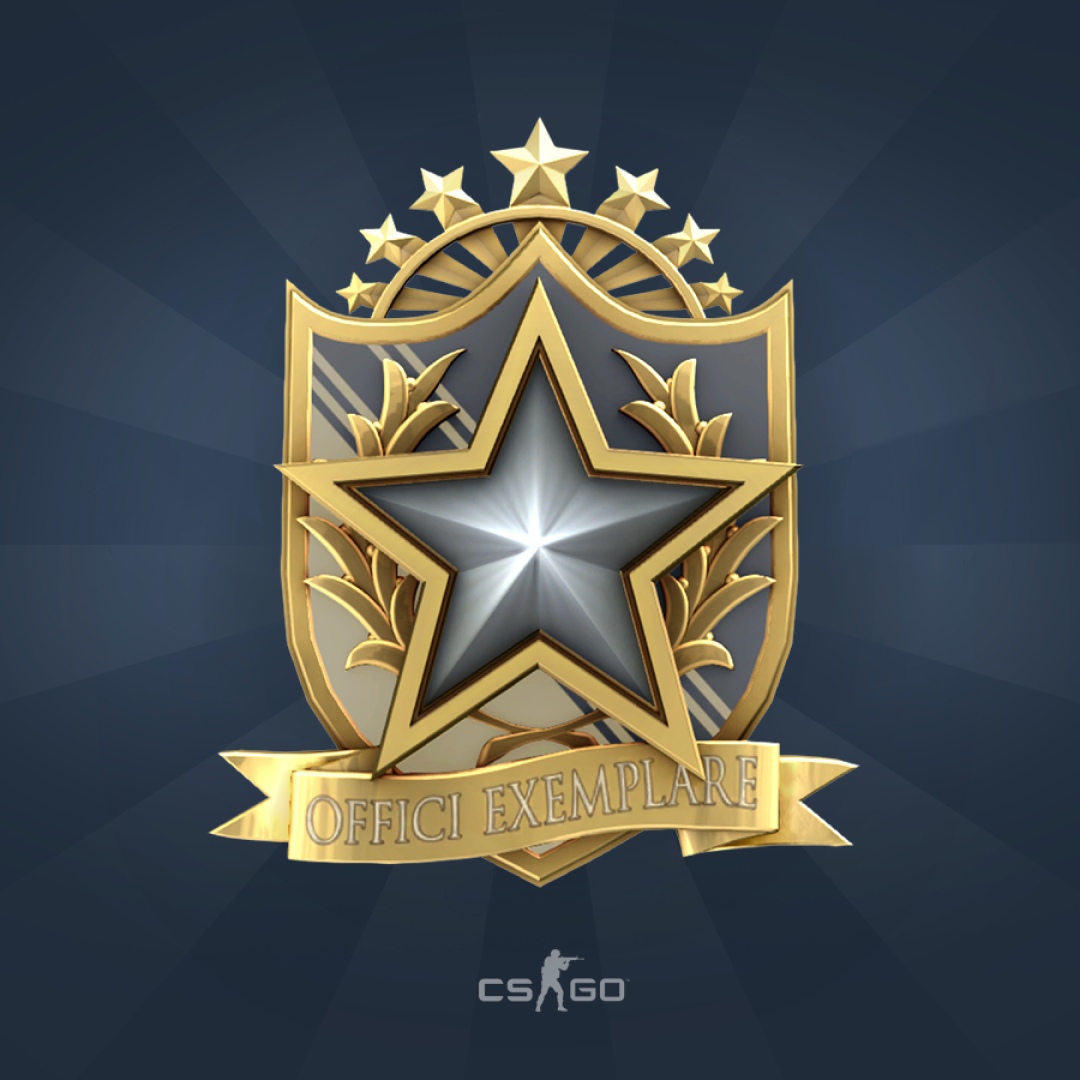 Как выглядит медаль 2026 года в кс Сообщество Steam :: Скриншот :: Finally reached the end of my journey. CSGO cong