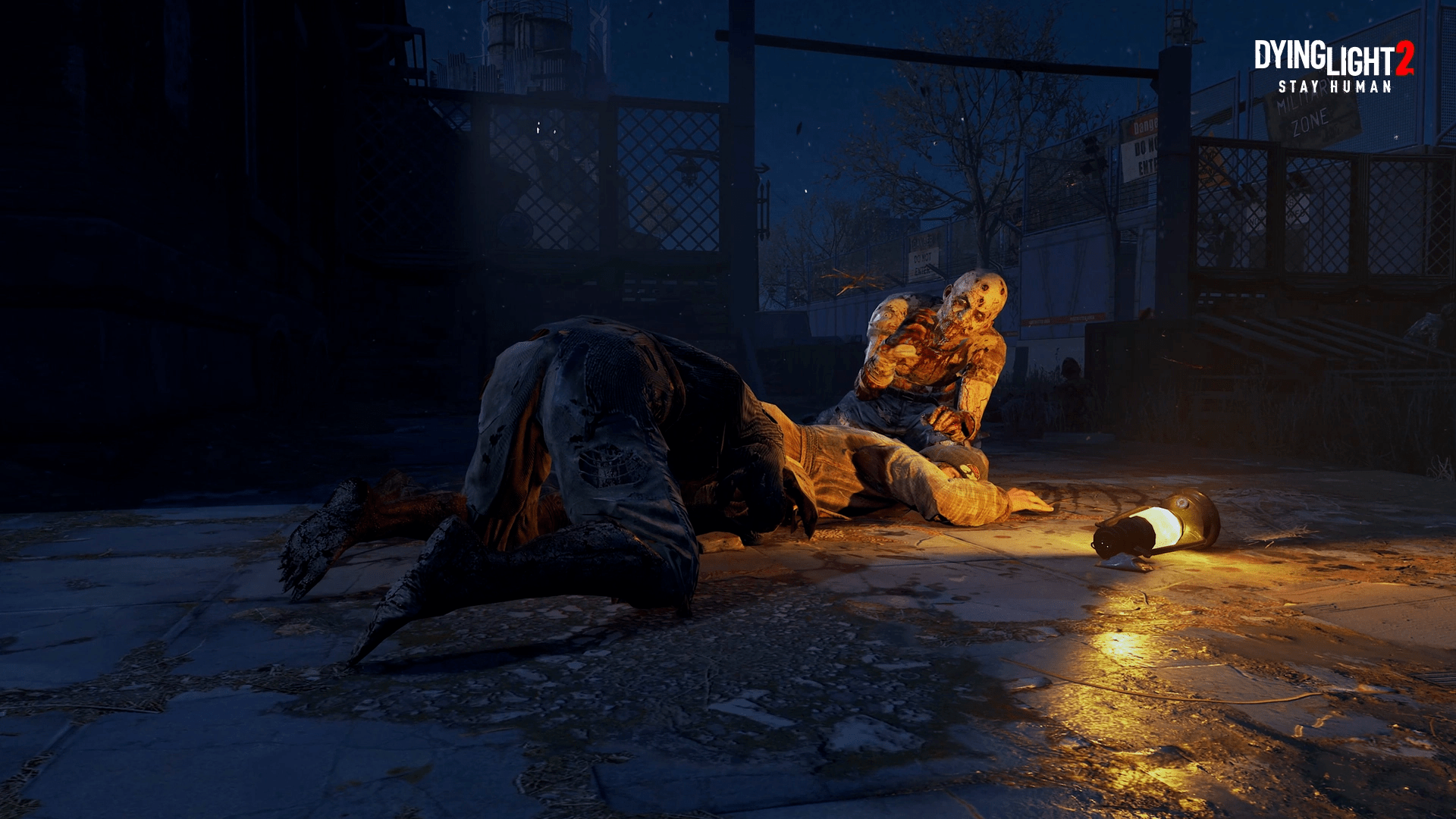 Dying Light - Survival Mod at Dying Light Nexus - Mods and community