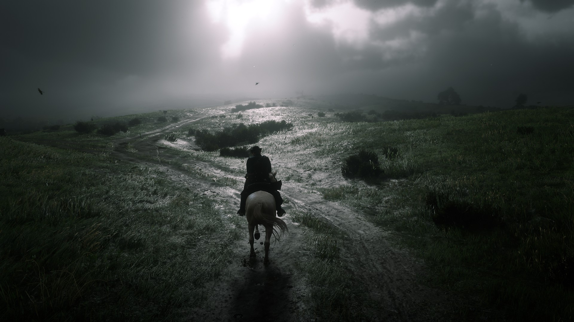 caballo en la neblina
