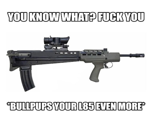 Мне можно доверить оружие. Мемы про оружие буллпап. Буллпап Ауг. Система буллпап. Буллпап смешной.