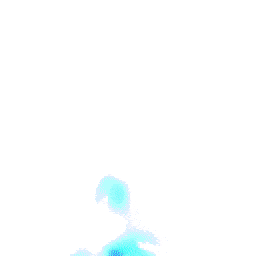 The Dawn