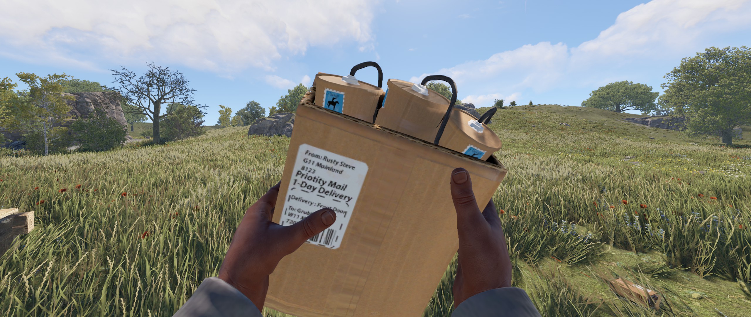 Delivery Satchel screenshot 1