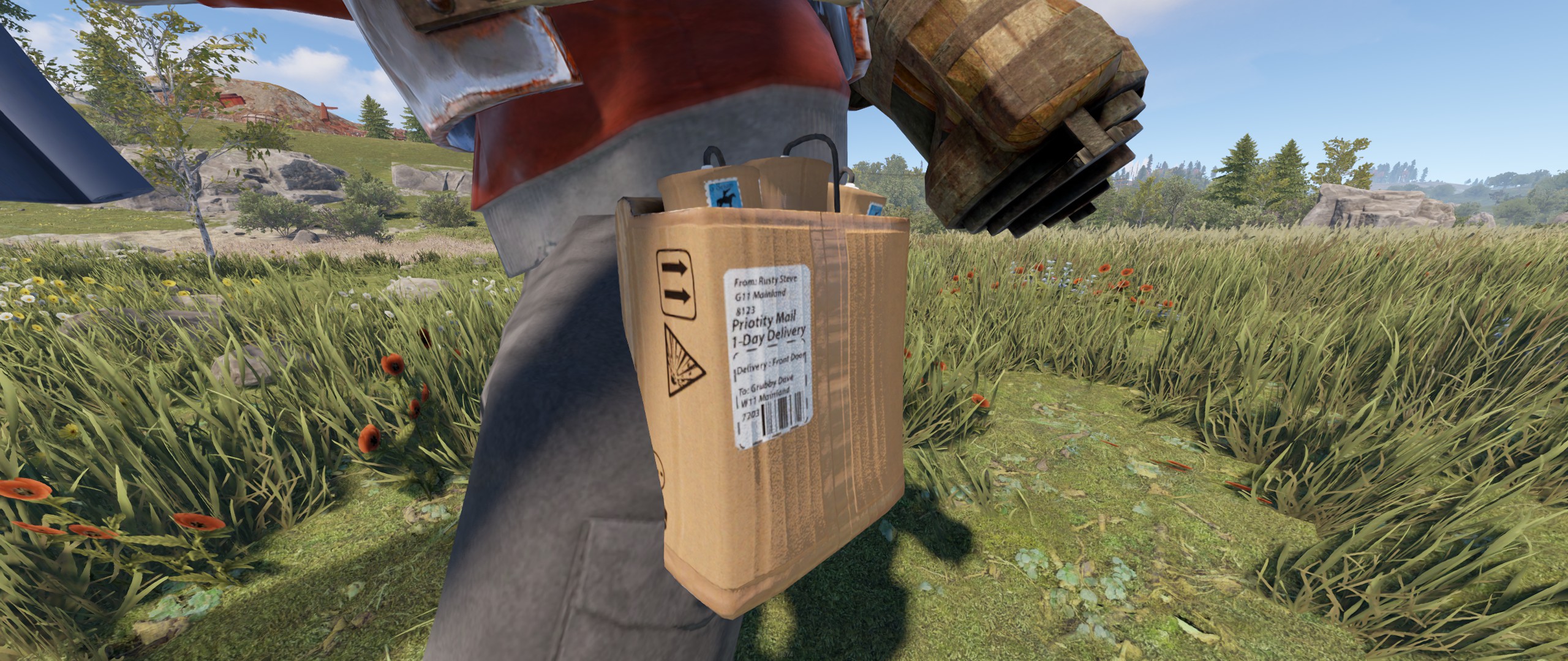 Delivery Satchel thumbnail 2