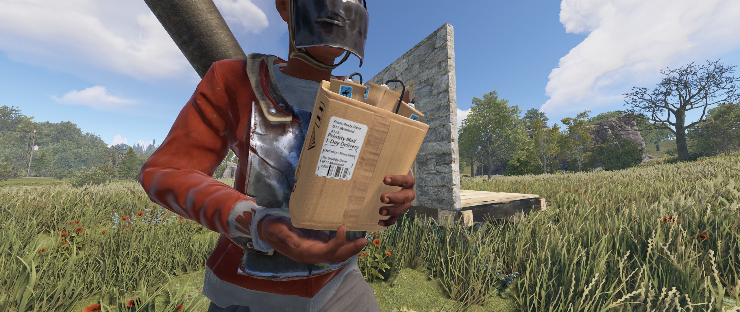 Delivery Satchel thumbnail 3