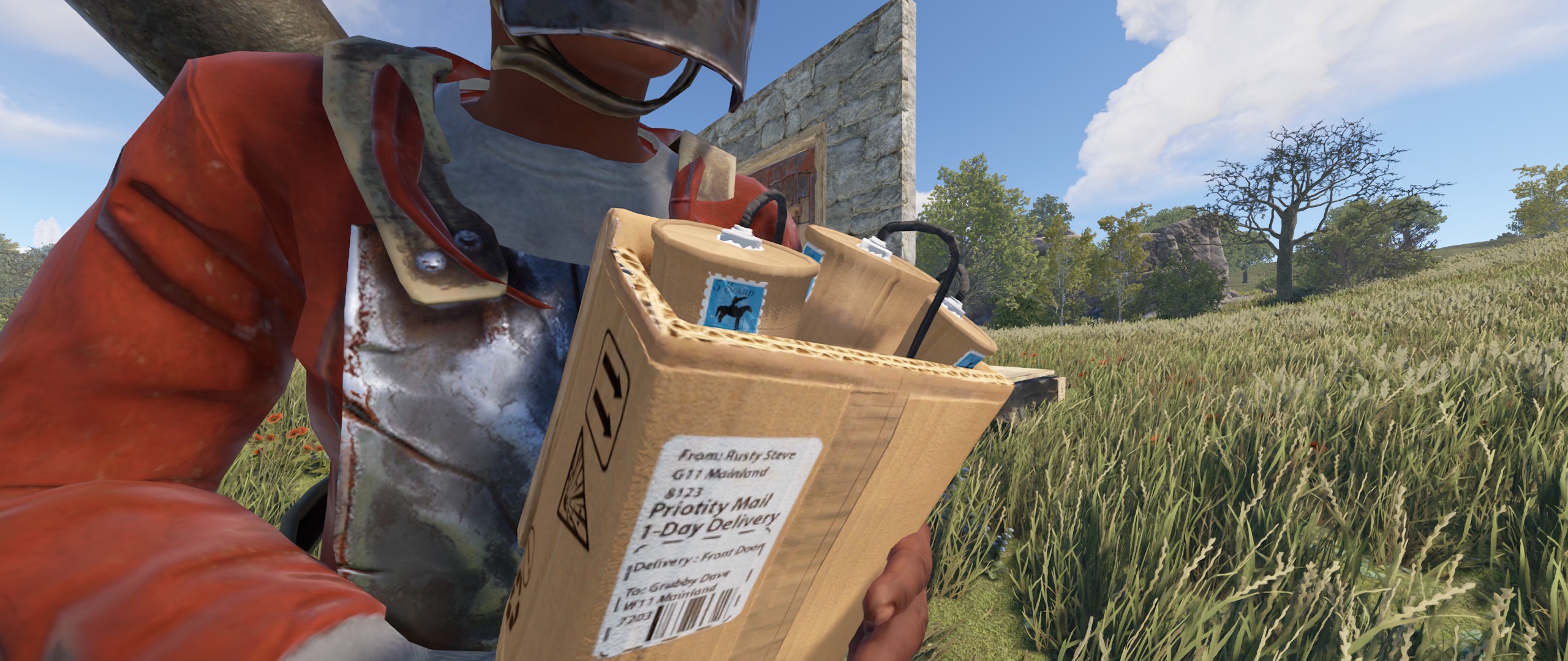 Delivery Satchel thumbnail 4