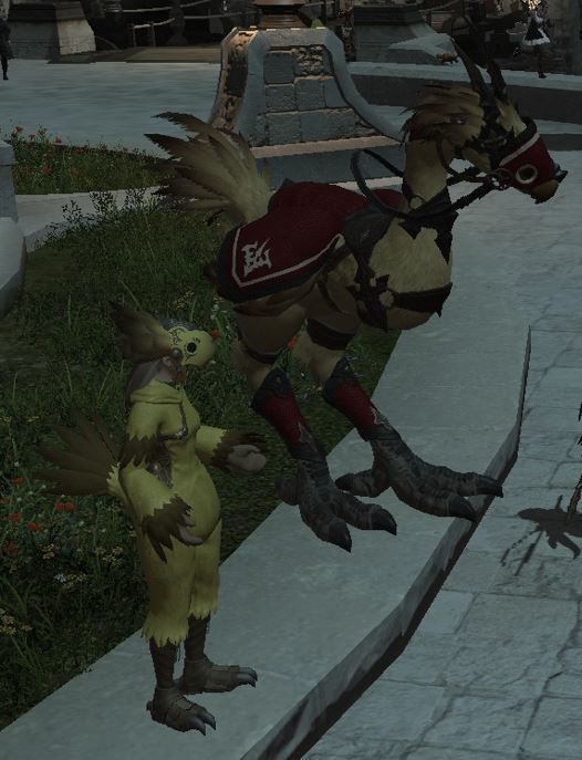 The Ultimate Chocobo Guide image 279