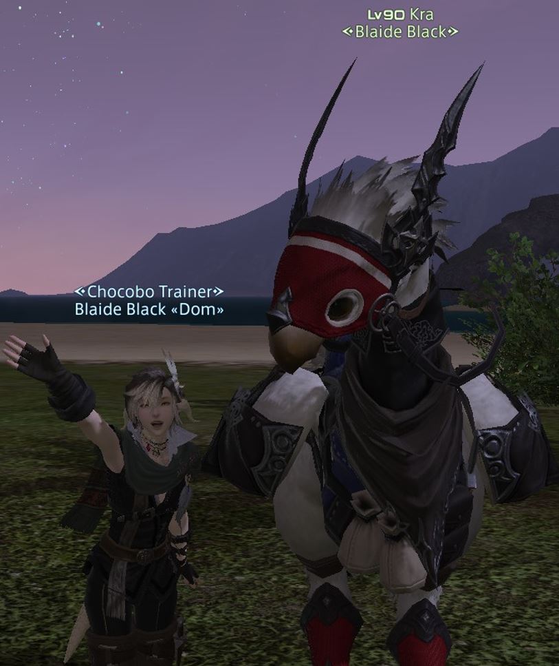 The Ultimate Chocobo Guide image 292